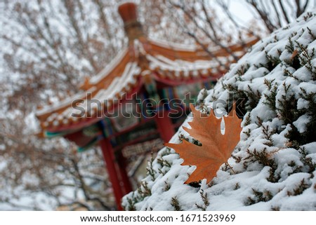 Autumn leaf on a snow tree in China.