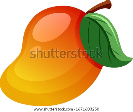 Fresh mango on white background illustration