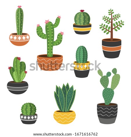 Succulents and cactus plants in decorative ceramic pots. Boho style vector illustration. Cute set of cacti and house plants.