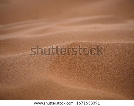 Desert Erg Chebbi in Morocco