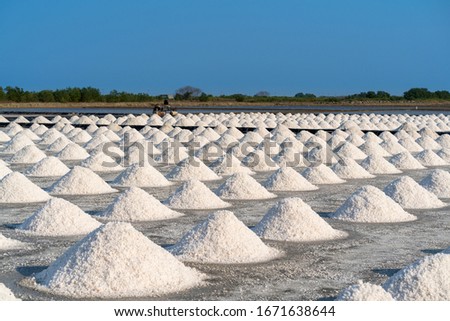 Salt in salt farm ready for harvest, Thailand.