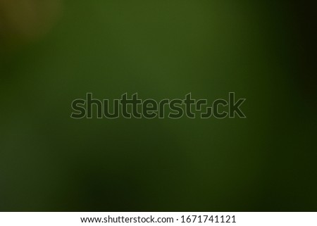 Green background image with black tones.