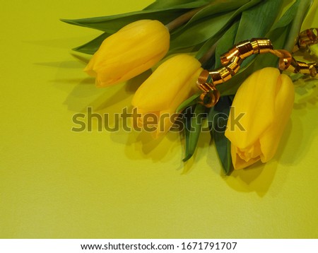 A bouquet of three yellow tulips on a yellow background close up. Bright spring picture with a bunch of flowers for printing the cover, design and decoration. Beautiful flower for greeting cards