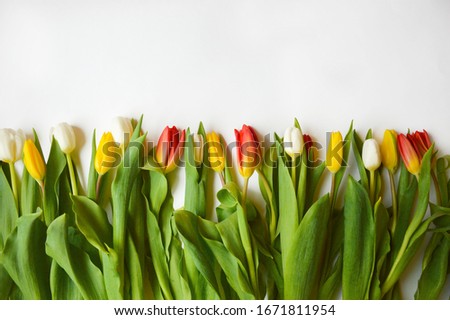Bright bouquet of tulips . Flowers are white , red, and yellow.