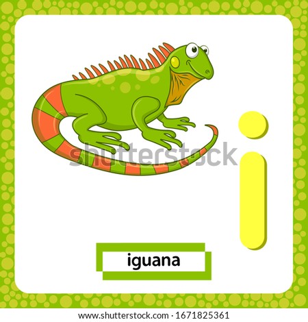 Letter I lowercase with cute cartoon Green Iguana lizard isolated on white background. Funny colorful flashcard Zoo and animals ABC alphabet. Education card for kids learning English vocabulary.Vector