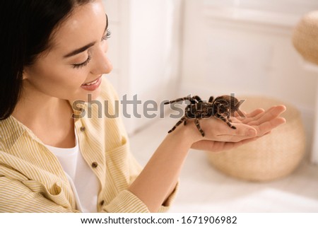 Woman holding striped knee tarantula at home. Exotic pet