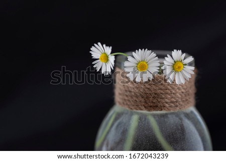 Three daisy flowers in glass vase decorated with natural twine on black background
