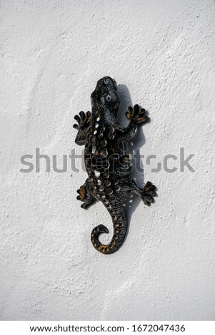 ceramic salamander in a white wall