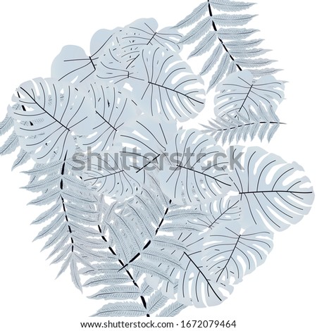  Vector tropical pattern, bright tropical foliage, monstera leaves. Modern bright summer print design from thickets of tropical leaves from the jungle.