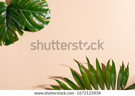 Congratulation corner frame from green twigs of tropical exotic leaves on a pastel beige background.
