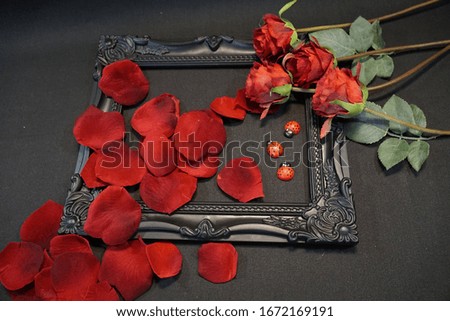 a romantic declaration of love with red rose petals in a black picture frame