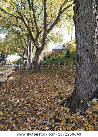 Landscapes and cityscapes of Montreal from the Royal Mount to the center of the city in autumn season