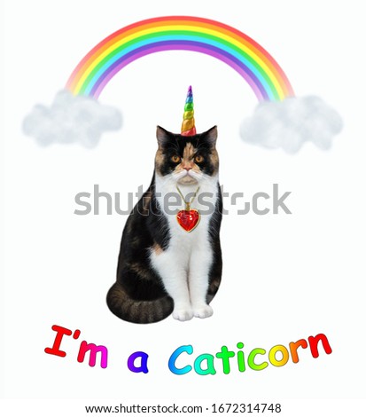The multi colored cat unicorn with a heart shaped ruby pendant is sitting under a rainbow. I am a caticorn. White background. Isolated.