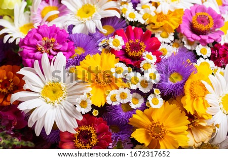 bouquet of various summer flowers as background, top view