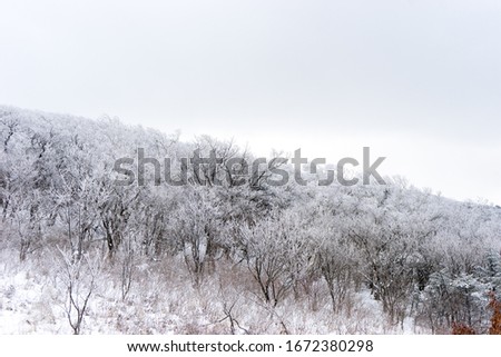 Winter in Sobaeksan National Park in South Korea