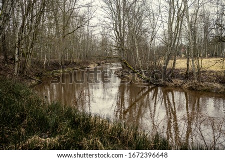 Scenic view of forest river in Latvia in winter with no snow. slow shutter speed