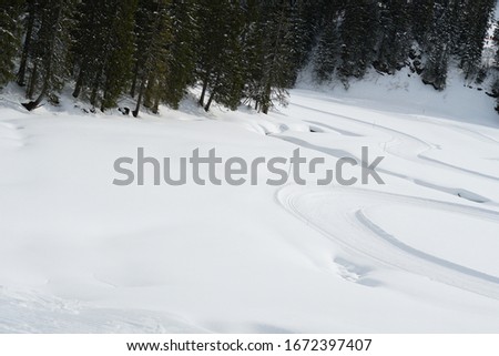 cross country skiing trail classic and skating surrounded by forest in Hoch Ybrig Switzerland