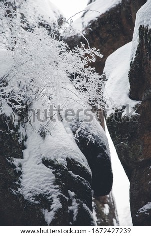 winter forest and snowy cliffs. a lot of snow, cold winter. Nature reserve pillars
