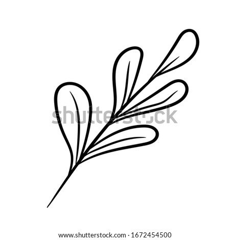 Botanical vector illustration of single herbal element. Ink drawing in Doodle style. Isolated object on a white background. Decorative element for spring and summer design, wedding, vignettes.