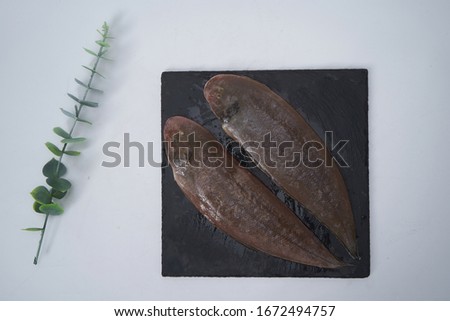 Fresh slices of flounder are placed on a white background