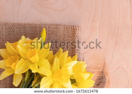 Yellow daffodils on a wooden background. Bouquet of spring flowers.