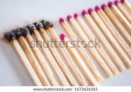 Burnt matches and whole matches on white background. The spread of fire. One whole match isolated to stop the fire. Stop destruction concept Royalty-Free Stock Photo #1672626265