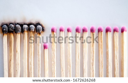 Burnt matches and whole matches on white background. The spread of fire. One whole match isolated to stop the fire. Stop destruction concept Royalty-Free Stock Photo #1672626268