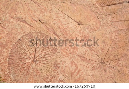 leaf print on natural style cement texture 