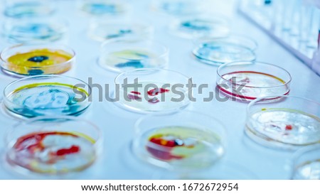 Microbiology Laboratory: Petri Dishes with Various Bacteria Samples, Pipette Drops Liquid Solution. Concept of Pharmaceutical Research of Antibiotics, Curing Disease Fighting Epidemics. Close-up Macro Royalty-Free Stock Photo #1672672954