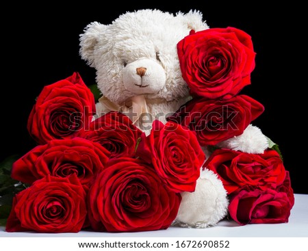 toy bear among red fresh roses on a black background