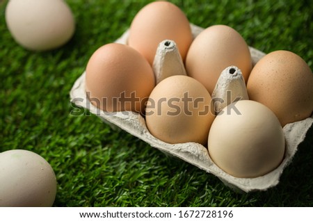 Easter eggs in box on grass