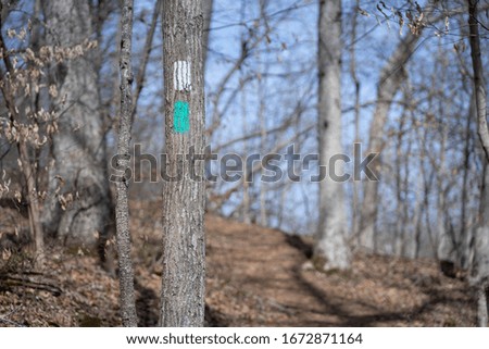 Trail markers are painted onto tree trunks in order to provide hikers with directions along a hiking trail winding through the woods of Northern Virginia.