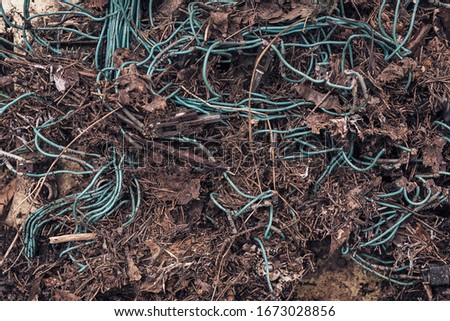 Blue wires covered with fir needles with soil.