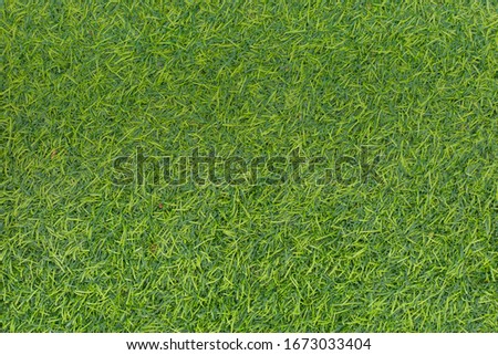 Green lawn background texture from top view, abstract Royalty-Free Stock Photo #1673033404