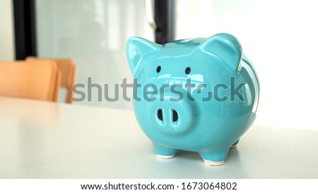piggy bank isolate in white background. saving money for future.