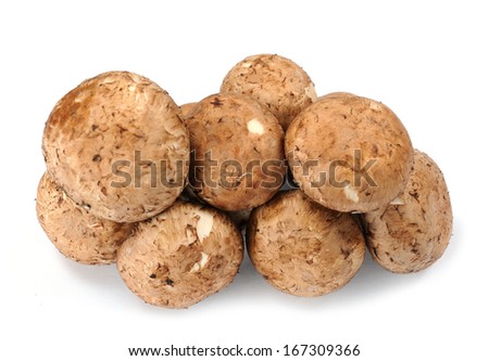 a group of mini portabella mushroom on white 