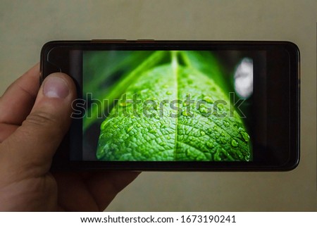 Image of beautiful leaf in phone display. Phone in hands