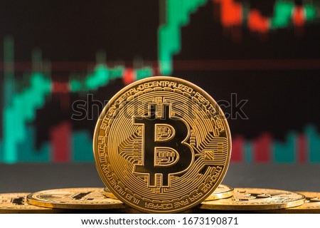 Bitcoin cryptocurrency gold coin. Trading on the cryptocurrency exchange. Trends in bitcoin exchange rates. Rise and fall charts of bitcoin. Royalty-Free Stock Photo #1673190871