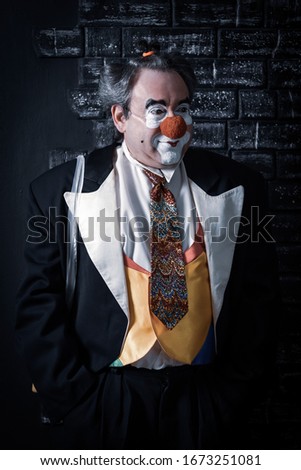 Beautiful photo of Russian circus clown
