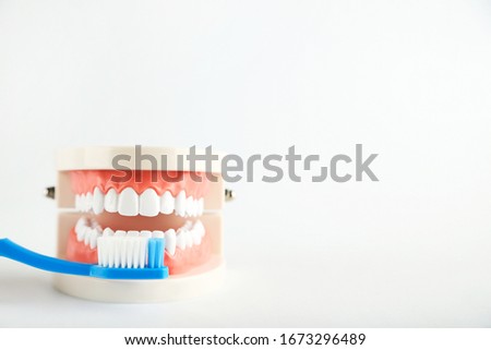 Teeth model with toothbrush on grey background