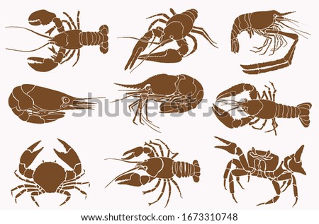 Graphical  vintage set of sea-food ,sepia background, vector  illustration
