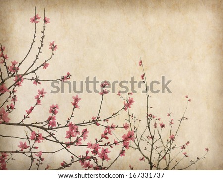 Spring plum blossom blossom on Old antique vintage paper background