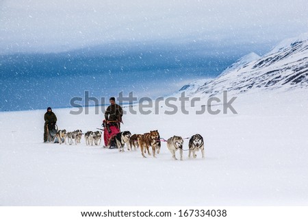 Dog sledding on a wintry Landscape, Arctic North Pole, Svalbard. 