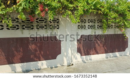 Picture of a wall made of cement.It's painted white and brown. With trees on top makes it look shady and beautiful.