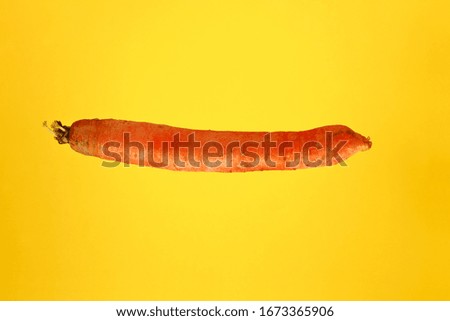 carrot root on a yellow background