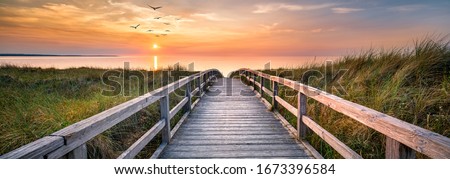 Panoramic view of dunes along the North Sea  Royalty-Free Stock Photo #1673396584