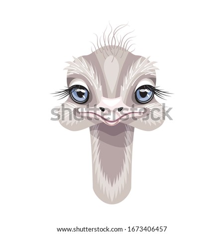 Funny ostrich head isolated on white background. Cartoon cute nestling with big blue eyes and long neck vector flat illustration.