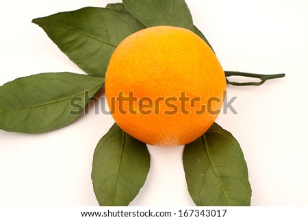 chinese orange  isolated on white background   Save to a Lightbox?     Find Similar Images    Share? closeup of mandarin orange isolated on  white background 