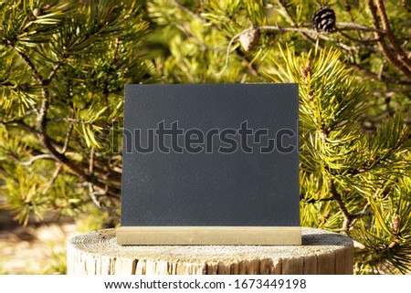 Blackboard on stump with spring forest on background. Sunny day in Finnish forest at sunset.