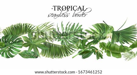 Vector horizontal seamless border with green tropical leaves on white background. Luxury exotic botanical design for wallpaper, fashion arrangement, cosmetics, spa, perfume packaging Royalty-Free Stock Photo #1673461252